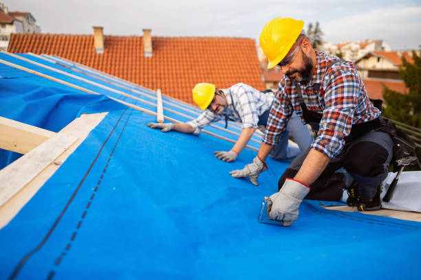 Best Emergency Roof Repair  in Mcnary, AZ