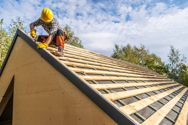 Best Roof Maintenance Services  in Mcnary, AZ