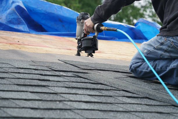 Best Residential Roof Replacement  in Mcnary, AZ